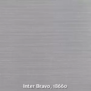 Inter Bravo, 18660