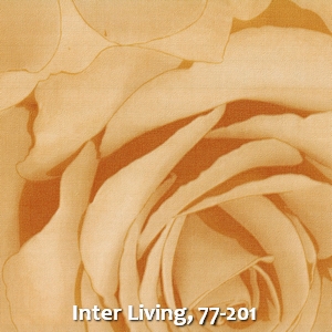 Inter Living, 77-201