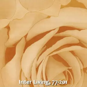 Inter Living, 77-201