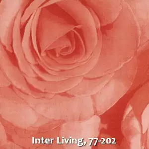 Inter Living, 77-202