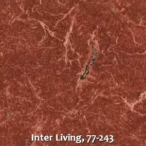 Inter Living, 77-243