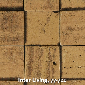 Inter Living, 77-722