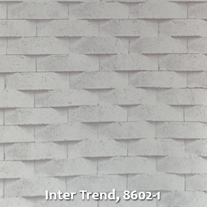 Inter Trend, 8602-1