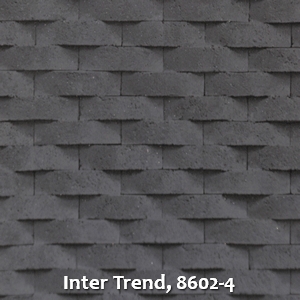 Inter Trend, 8602-4