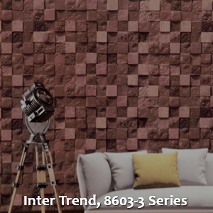 Inter Trend, 8603-3 Series