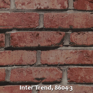 Inter Trend, 8604-3