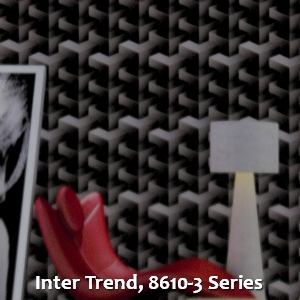 Inter Trend, 8610-3 Series