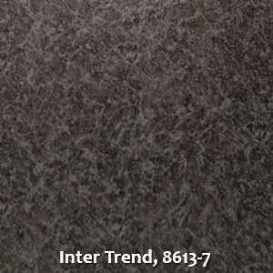 Inter Trend, 8613-7