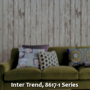 Inter Trend, 8617-1 Series