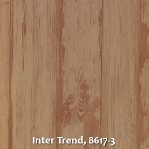 Inter Trend, 8617-3