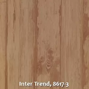 Inter Trend, 8617-3