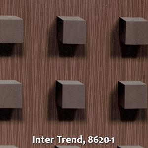 Inter Trend, 8620-1