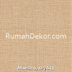 Maestro, 12-7843