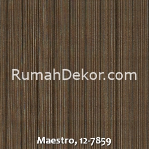 Maestro, 12-7859