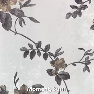 Moment, 80111