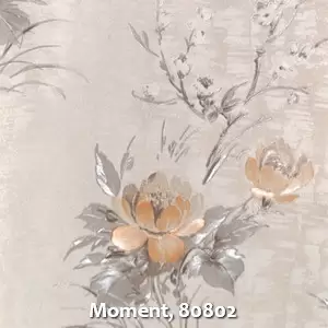 Moment, 80802
