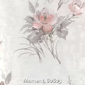 Moment, 80803