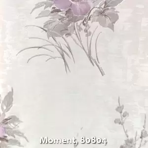 Moment, 80804