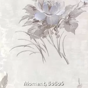 Moment, 80806