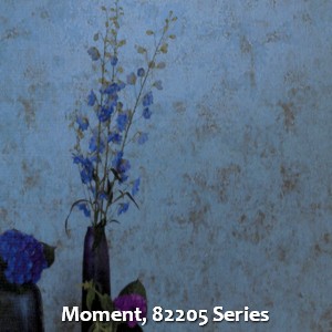 Moment, 82205 Series