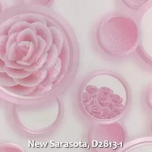 New Sarasota, D2813-1