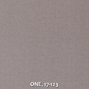 ONE, 17-123