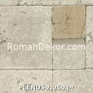 PLENUS 2, 2604-1