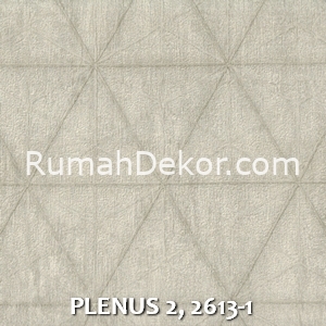PLENUS 2, 2613-1