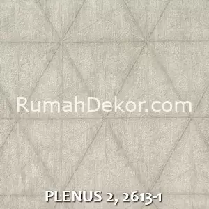 PLENUS 2, 2613-1