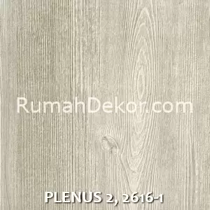 PLENUS 2, 2616-1