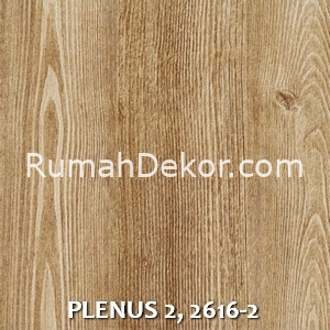 PLENUS 2, 2616-2
