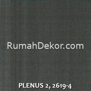 PLENUS 2, 2619-4