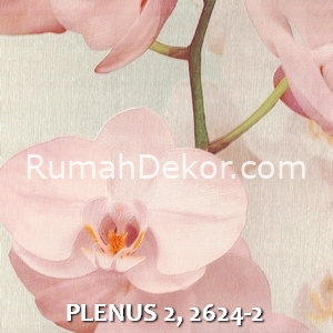 PLENUS 2, 2624-2