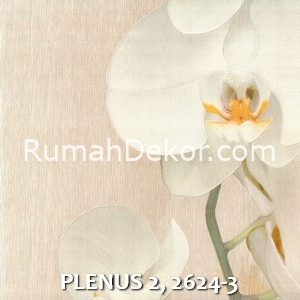 PLENUS 2, 2624-3