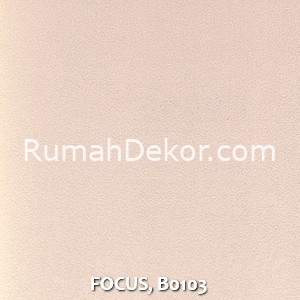 FOCUS, B0103