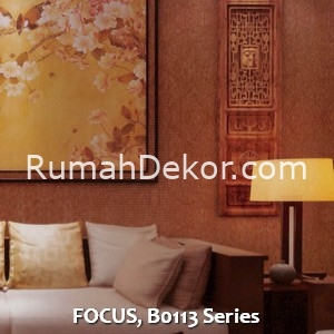 FOCUS, B0113 Series