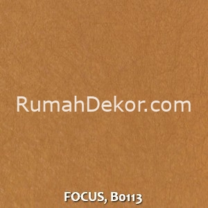FOCUS, B0113