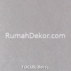 FOCUS, B0115
