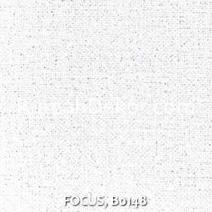 FOCUS, B0148