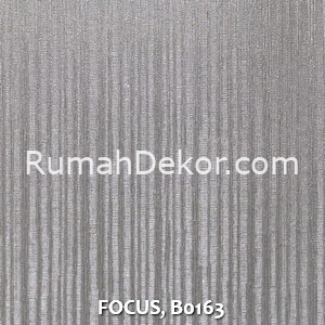 FOCUS, B0163