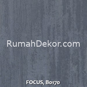 FOCUS, B0170