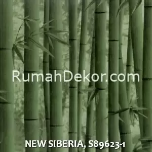 NEW SIBERIA, S89623-1