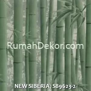 NEW SIBERIA, S89623-2