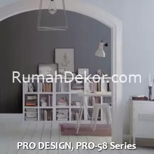 PRO DESIGN, PRO-58 Series