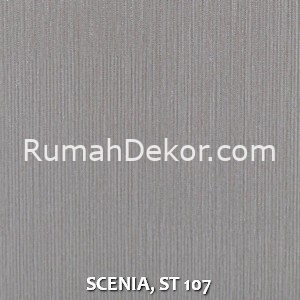 SCENIA, ST 107