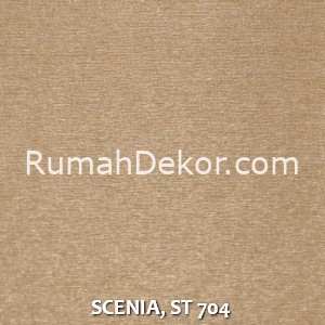 SCENIA, ST 704