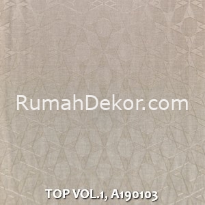 TOP VOL.1, A190103
