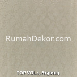 TOP VOL.1, A190104