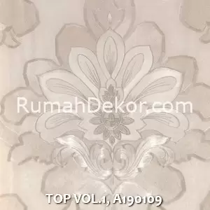 TOP VOL.1, A190109