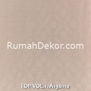 TOP VOL.1, A190110